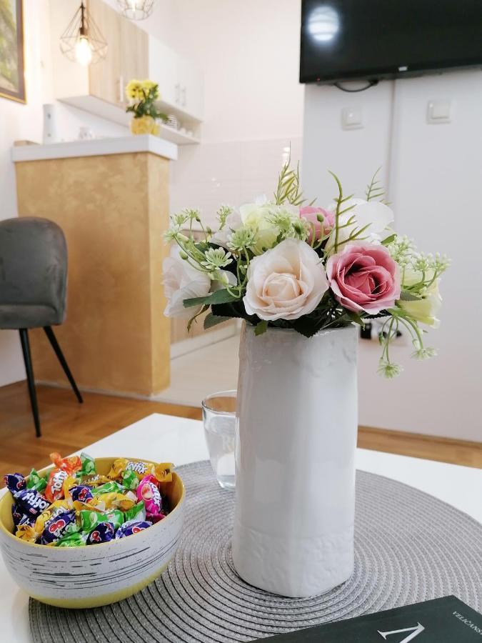 Apartman Mia Sremska Mitrovica Buitenkant foto